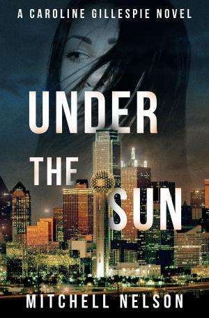 Cover of the book Under the Sun by Peter McGarvey