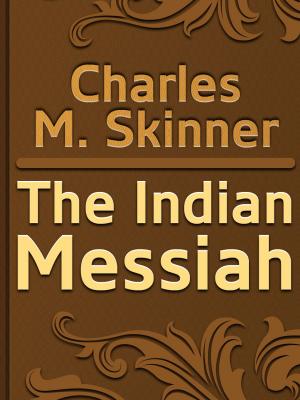 Book cover of The Indian Messiah