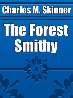 Book cover of The Forest Smithy