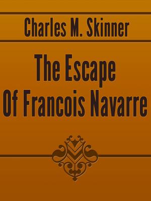 Book cover of The Escape Of Francois Navarre