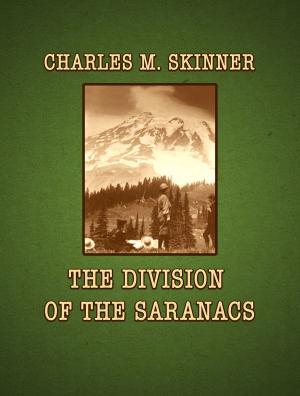 Book cover of The Division Of The Saranacs