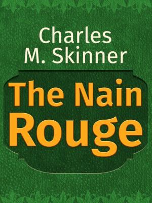 Cover of the book The Nain Rouge by Andrew Lang