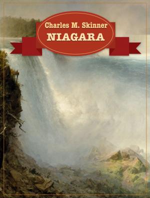Cover of the book Niagara by Thomas Crane