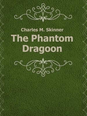 Book cover of The Phantom Dragoon