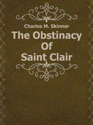 Cover of the book The Obstinacy Of Saint Clair by Dani (DJ) Clifton
