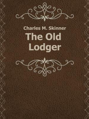 Book cover of The Old Lodger