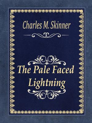 Book cover of The Pale Faced Lightning