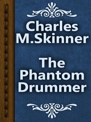 Book cover of The Phantom Drummer