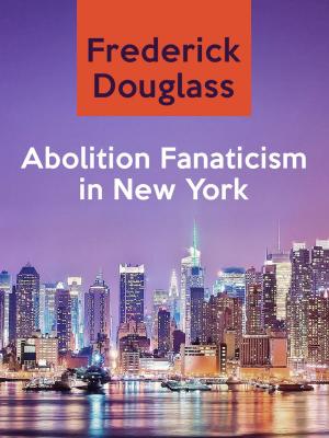 Book cover of Abolition Fanaticism in New York