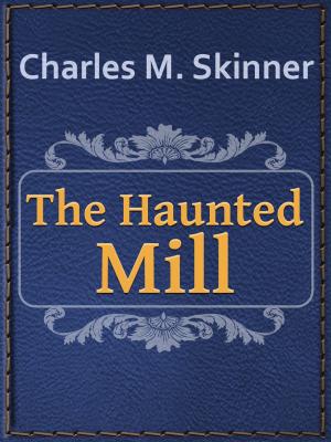 Cover of the book The Haunted Mill by Turkish Fairy Tales