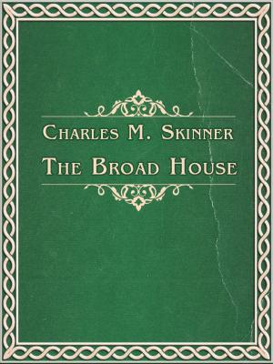 Book cover of The Broad House