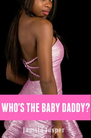 Cover of the book Who's The Baby Daddy by Avery Kings