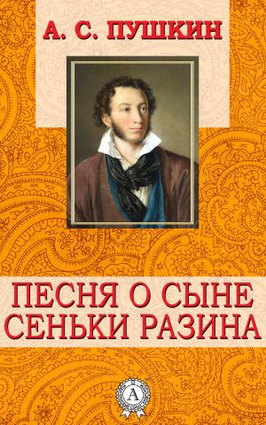Book cover of Песня о сыне Сеньки Разина
