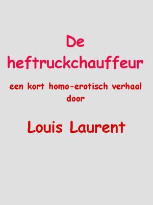Book cover of De heftruckchauffeur