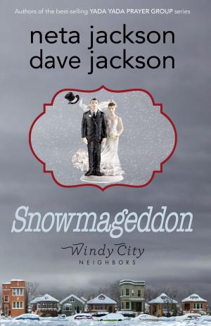 Cover of the book Snowmageddon by Keith R. A. DeCandido