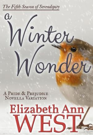 Book cover of A Winter Wonder