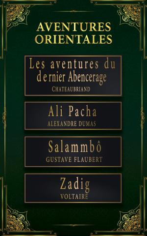 Cover of the book AVENTURES ORIENTALES by Miguel de CERVANTES