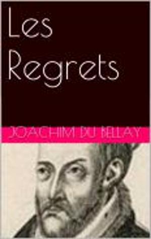 Cover of the book Les Regrets by Steve Kittell