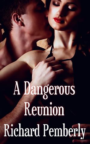 Cover of the book A Dangerous Reunion by Douglas Kolacki