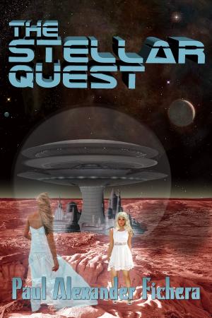 Book cover of The Stellar Quest