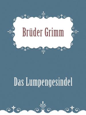 Cover of the book Das Lumpengesindel by Charles M. Skinner