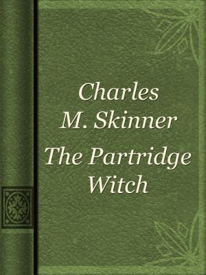 Book cover of The Partridge Witch
