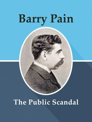 Book cover of The Public Scandal