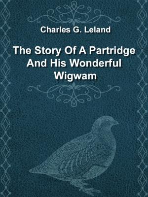 Cover of the book The Story Of A Partridge And His Wonderful Wigwam by James Baldwin