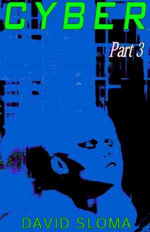 Book cover of Cyber - Part 3