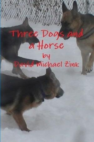 Book cover of Three Dogs and a Horse