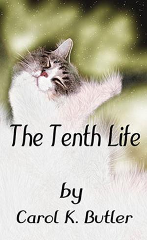 Cover of the book The Tenth Life by Ewing C Stevens