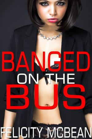 Cover of the book Banged on the Bus by Lilia Ford
