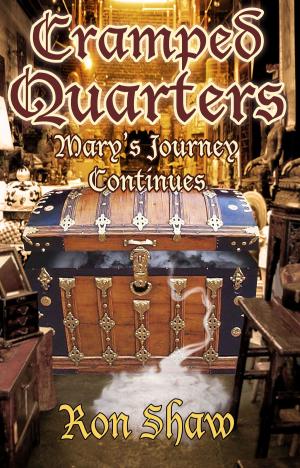 Cover of the book Mary's Journey Continues by Annie Acorn