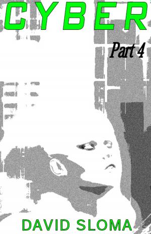 Book cover of Cyber - Part 4