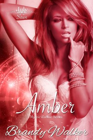 Cover of the book Amber by Barbara Griffin Villemez