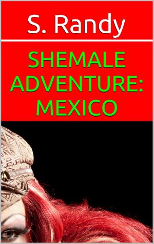 Cover of the book Shemale Adventure: Mexico by Pablo Michaels