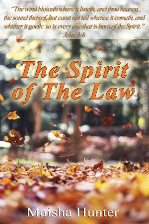 Book cover of The Spirit of the Law