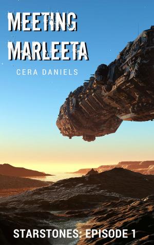 Cover of Meeting Marleeta