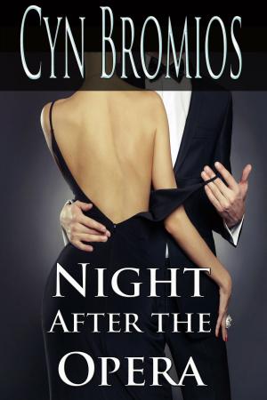 Book cover of Night After the Opera