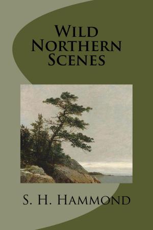 Cover of the book Wild Northern Scenes by E.F. Benson