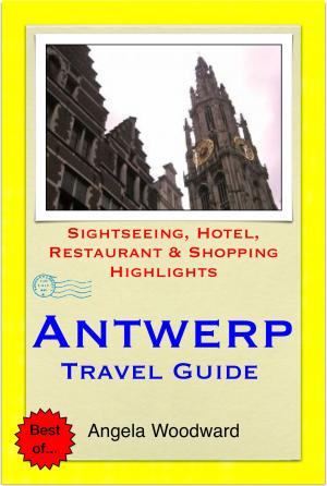 Book cover of Antwerp, Belgium Travel Guide - Sightseeing, Hotel, Restaurant & Shopping Highlights (Illustrated)