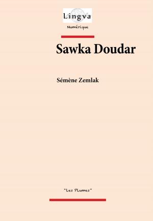 Cover of the book Sawka Doudar by Vladimir Odoievski, Patrice Lajoye