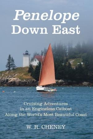 Cover of the book Penelope Down East by Felicia Schneiderhan