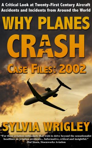Cover of the book Why Planes Crash Case Files: 2002 by Noam Chomsky