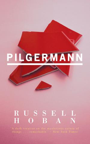 Cover of the book Pilgermann by Robert Westall