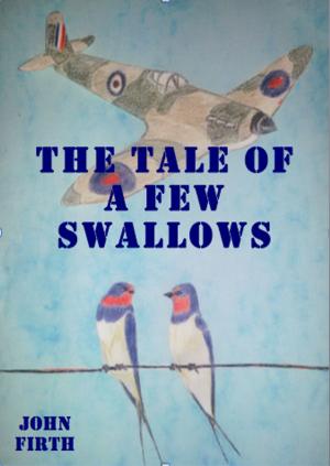 Cover of the book The Tale of a Few Swallows by C. K. Kelly Martin