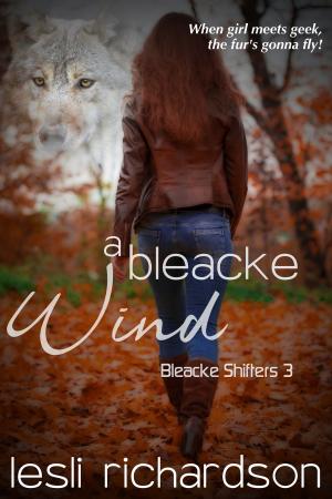 Cover of the book A Bleacke Wind by Derek Haines