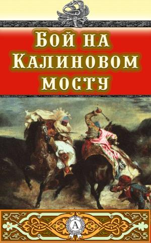 Book cover of Бой на Калиновом мосту