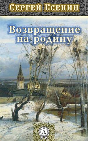 Book cover of Возвращение на Родину