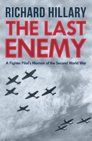 Cover of the book The Last Enemy by V M Yeates